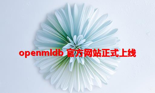 OpenMLDB 官方网站正式上线